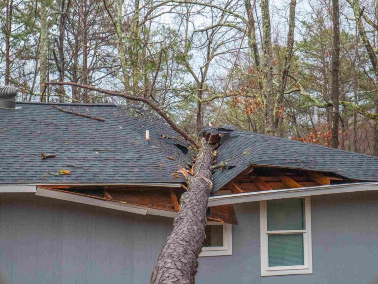 Storm-damaged home with fallen tree crashing through roof requiring emergency storm damage cleanup and roof restoration services by Paul Davis Restoration of Southeast Puget Sound